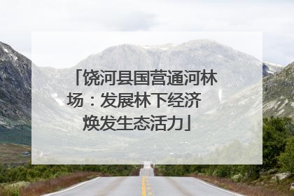 饶河县国营通河林场：发展林下经济 焕发生态活力