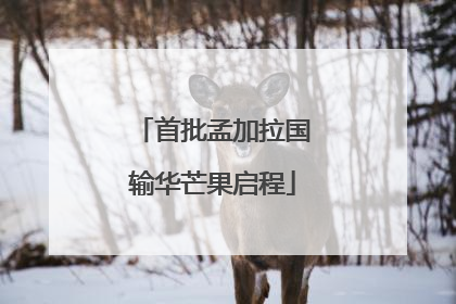 首批孟加拉国输华芒果启程