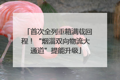 首次全列重箱满载回程！“烟淄双向物流大通道”提能升级
