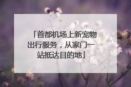 首都机场上新宠物出行服务，从家门一站抵达目的地