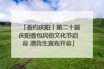 香约庆阳丨第二十届庆阳香包民俗文化节启幕 潘鲁生宣布开幕