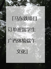 马东铁项目订单班留学生广西体验端午文化