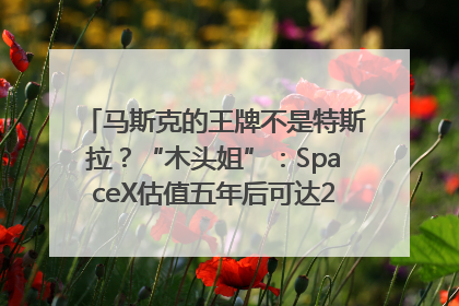 马斯克的王牌不是特斯拉？“木头姐”：SpaceX估值五年后可达2.5万亿美元！