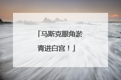 马斯克眼角淤青进白宫！