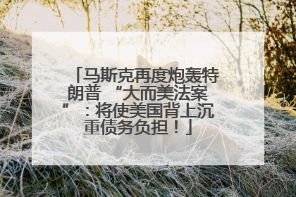 马斯克再度炮轰特朗普 “大而美法案”：将使美国背上沉重债务负担！