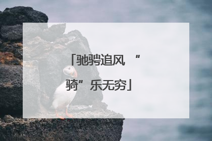驰骋追风 “骑”乐无穷