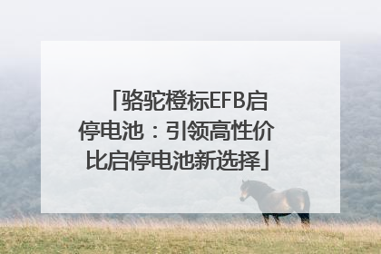 骆驼橙标EFB启停电池：引领高性价比启停电池新选择