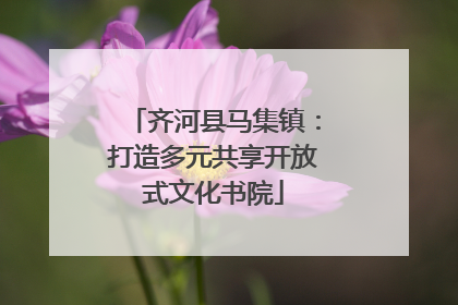 齐河县马集镇：打造多元共享开放式文化书院