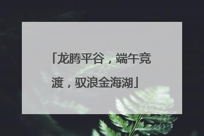 龙腾平谷，端午竞渡，驭浪金海湖