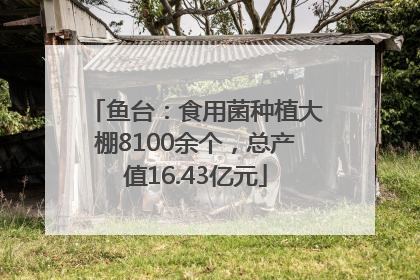 鱼台：食用菌种植大棚8100余个，总产值16.43亿元