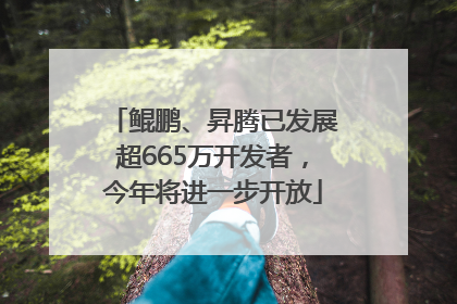 鲲鹏、昇腾已发展超665万开发者，今年将进一步开放