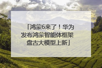 鸿蒙6来了！华为发布鸿蒙智能体框架 盘古大模型上新