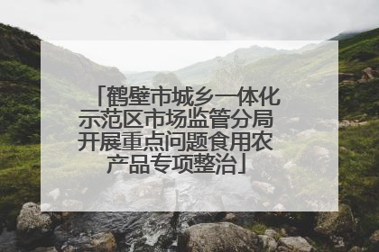 鹤壁市城乡一体化示范区市场监管分局开展重点问题食用农产品专项整治