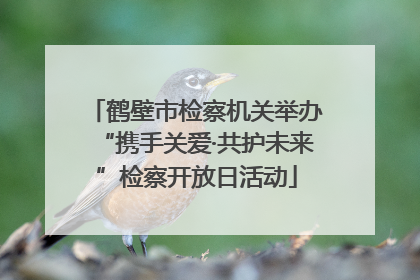 鹤壁市检察机关举办“携手关爱·共护未来”检察开放日活动