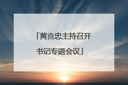 黄喜忠主持召开书记专题会议