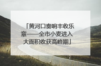 黄河口奏响丰收乐章——全市小麦进入大面积收获高峰期