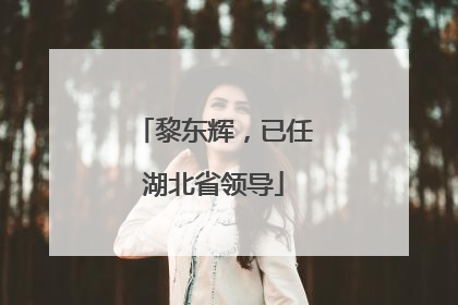 黎东辉，已任湖北省领导