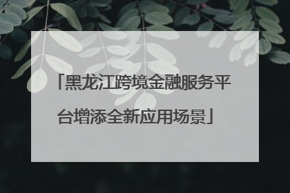 黑龙江跨境金融服务平台增添全新应用场景