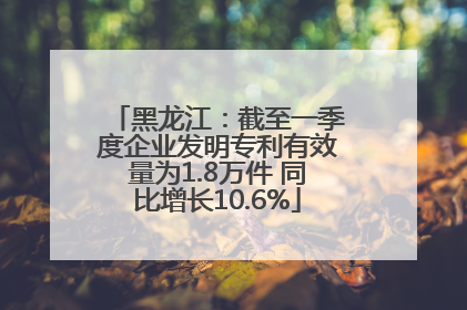 黑龙江：截至一季度企业发明专利有效量为1.8万件 同比增长10.6%