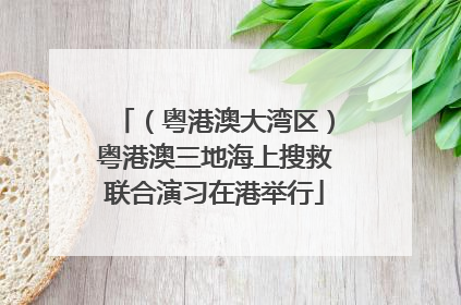 （粤港澳大湾区）粤港澳三地海上搜救联合演习在港举行