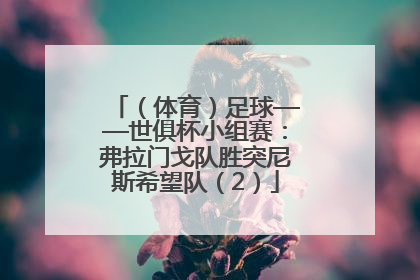 （体育）足球——世俱杯小组赛：弗拉门戈队胜突尼斯希望队（2）