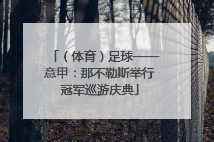 （体育）足球——意甲：那不勒斯举行冠军巡游庆典