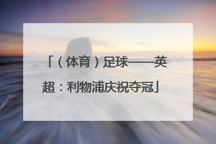 （体育）足球——英超：利物浦庆祝夺冠