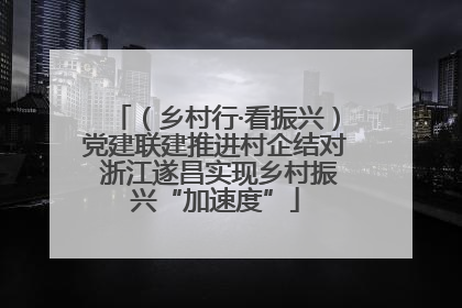 （乡村行·看振兴）党建联建推进村企结对 浙江遂昌实现乡村振兴“加速度”