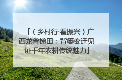 （乡村行·看振兴）广西龙脊梯田：背篓变迁见证千年农耕传统魅力