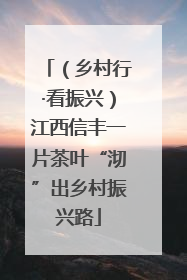（乡村行·看振兴）江西信丰一片茶叶“沏”出乡村振兴路