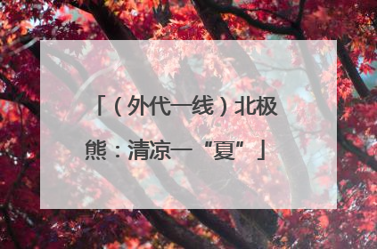 （外代一线）北极熊：清凉一“夏”