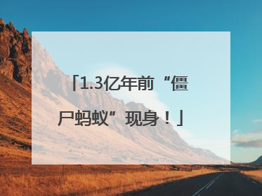 1.3亿年前“僵尸蚂蚁”现身！
