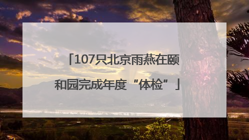 107只北京雨燕在颐和园完成年度“体检”