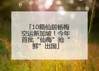 10箱仙居杨梅空运新加坡！今年首批“仙梅”抢“鲜”出国