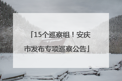15个巡察组！安庆市发布专项巡察公告