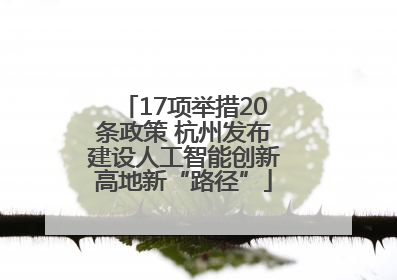 17项举措20条政策 杭州发布建设人工智能创新高地新“路径”