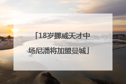 18岁挪威天才中场尼潘将加盟曼城