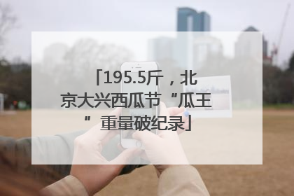 195.5斤，北京大兴西瓜节“瓜王”重量破纪录