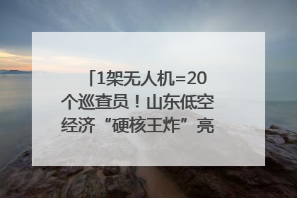 1架无人机=20个巡查员！山东低空经济“硬核王炸”亮相青岛，下一个万亿赛道藏在这里