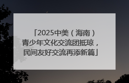 2025中美（海南）青少年文化交流团抵琼，民间友好交流再添新篇
