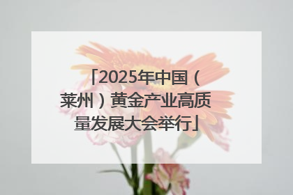 2025年中国（莱州）黄金产业高质量发展大会举行