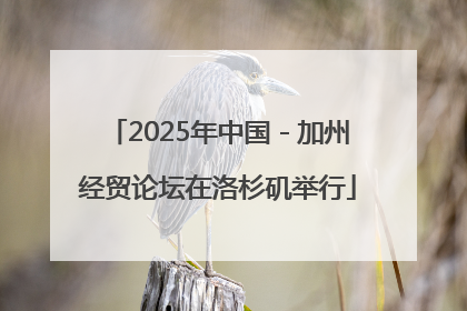 2025年中国－加州经贸论坛在洛杉矶举行