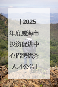 2025年度威海市投资促进中心招聘优秀人才公告