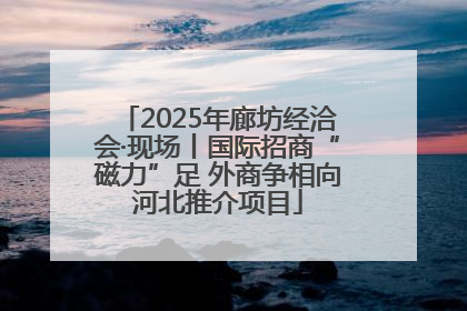 2025年廊坊经洽会·现场丨国际招商“磁力”足 外商争相向河北推介项目