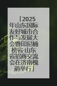 2025年山东国际友好城市合作与发展大会暨印尼楠榜省·山东省招商交流会在济南槐荫举行