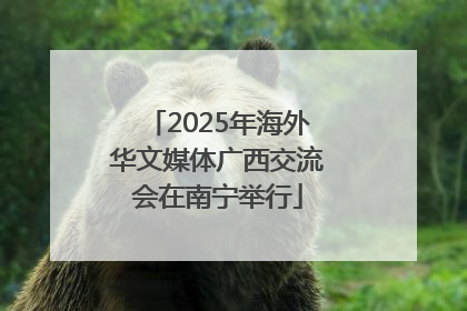 2025年海外华文媒体广西交流会在南宁举行