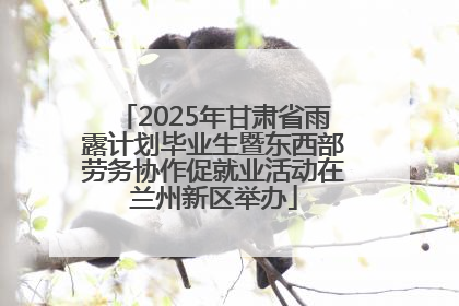 2025年甘肃省雨露计划毕业生暨东西部劳务协作促就业活动在兰州新区举办