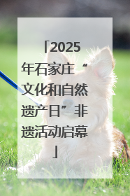 2025年石家庄“文化和自然遗产日”非遗活动启幕