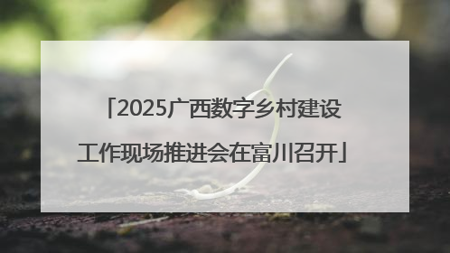 2025广西数字乡村建设工作现场推进会在富川召开