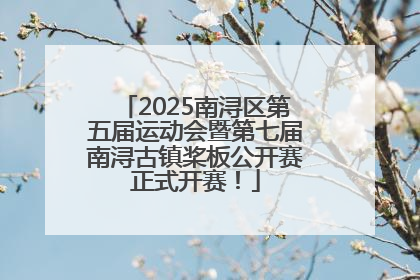 2025南浔区第五届运动会暨第七届南浔古镇桨板公开赛正式开赛！